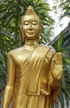 Buddha image at Wat Choumkhong, Luang Prabang, Laos, Asia