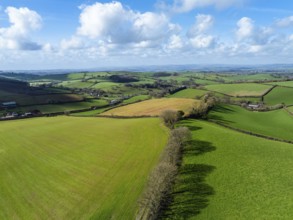 Fields and Farms from a drone, Devon, England, United Kingdom, Europe