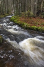 Kleine Ohe creek below Waldhaeuser village in the Bavarian Forest Nationalpark. Flowing water and