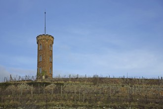 Neo-Gothic tower built in 1890 in the vineyard, vineyard, art trail, Heiligenblut, Alzey,