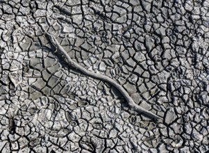 The bottom of a dried-up fish pond in Reckahn in Brandenburg looks like parched desert soil. The