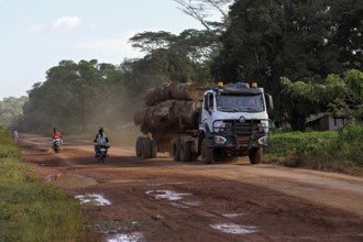 Lorry loaded with tropical timber from the Congo Basin, near Yokadouma, Boumba-et-Ngoko district,