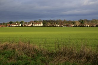 Houses spread out in a line in the linear village of Sutton, Suffolk, England, UK