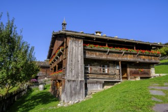 Firehouse from the Höfeler farm, South Tyrolean Folklore Museum, Dietenheim, Freilchtmuseum,