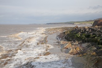 Erosional coastline with tilted sedimentary rock wave cut platform, Watchet, Somerset, England,