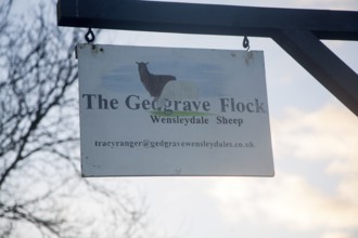 Sign for the Gedgrave Flock of Wensleydale sheep, Suffolk, England, United Kingdom, Europe