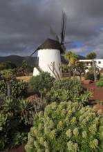 Windmill and garden at Centro de Artesania Molinos de Antigua, Fuerteventura, Canary Islands,