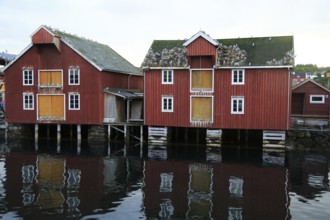 Traditional harbour buildings in fishing village of Rorvik, Norway, Europe