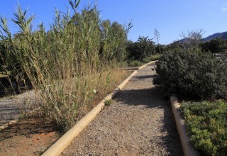 Botanical gardens at Rodalquilar, Cabo de Gata natural park, Almeria, Spain, Europe