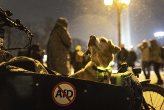 Recordings as part of the demonstration Auf die Strasse! Against the AfD's Nazi deportation plans