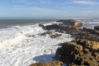 Large waves breaking on rocky shore, Essaouira, Morocco, north Africa, Africa