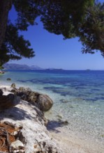 Crystal clear bay with transparent clear water, blooming flowers, spring, holiday, Adriatic Sea,