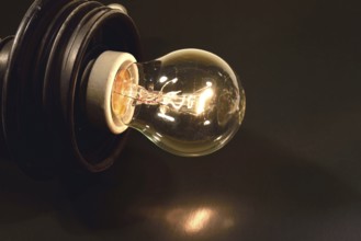 Light bulb, analogue light source, warm light, clear light bulb, filament, switched on