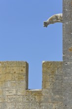 Gargoyle with battlements at the Porte de la Reine, city gate, city wall, detail, dog figure,