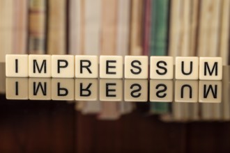 The word in the IMPRINT written with letter cubes in front of a bookshelf