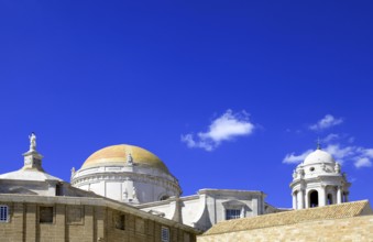 Domes of Cadiz Cathedral, Andalusia, Spain, Europe