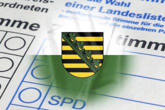 Symbolic image of state election in Saxony: Flag of Saxony and close-up of a ballot paper. The next