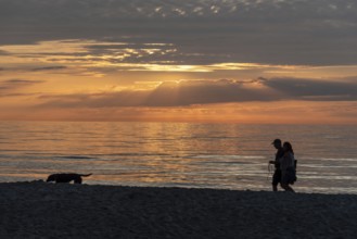 People and a dog walking on the beach at sunset, calm sky and sea in the background, Baltic Sea