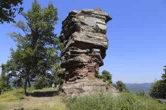 The ruins of Anebos Castle, medieval rock castle above Annweiler am Trifels, Rhineland-Palatinate