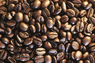 Close up view coffee beans