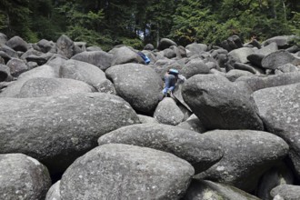 The famous rock boulder in the Odenwald above Lautertal-Reichenbach