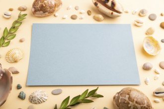 Composition with blue paper sheet, seashells, pebbles, green boxwood. mockup on orange background.