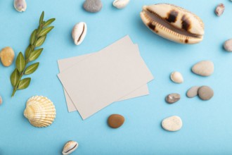 Composition with gray paper business cards, seashells, green boxwood. mockup on blue pastel