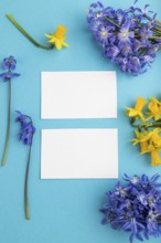 White paper business cards with spring snowdrop flowers bluebells, narcissus on blue pastel