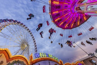 Chain carousel and Ferris wheel in the evening. 177th Cannstatter Volksfest at the Cannstatter