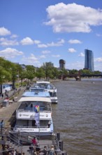 Excursion boats at the Mainkai under a blue sky with cumulus clouds in Frankfurt am Main, Hesse,