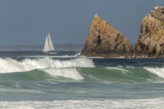 Sailboat sailing offshore on the Atlantic Ocean. Camaret sur mer, Crozon, Finistere, Brittany,