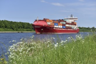 Container ship Frederik in the Kiel Canal, Kiel Canal, NOK, Schleswig-Holstein, Germany, Europe