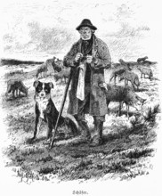 Shepherd, Mecklenburg-Western Pomerania, Germany, flock of sheep, grazing, profession, old man,