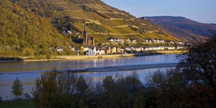 View across the Rhine in the late evening light from Bacharach to Lorch with the parish church of