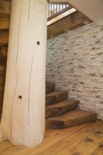 Twisting wooden staircase with brown stained half log steps attached to large bleached supporting