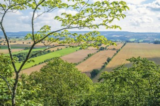 View at a patchwork landscape in a rural area with lush green tree branches, Sweden, Europe