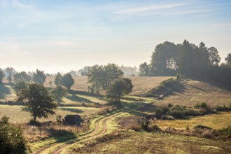 Winding dirt road in a rolling countryside landscape with fields and meadow in late summer