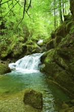 Waterfall at the Steigbach in the Steigbachtobel near Immenstadt in Oberallgäu, Bavaria, Germany,