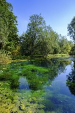 Aachtopf, blue spring pot, Aach spring, Urspring near Schelklingen, Swabian Alb, Baden-Württemberg,