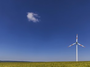 Wind turbine in an open field, a small cloud clouds the blue sky. Swabian Alb, Geislingen an der