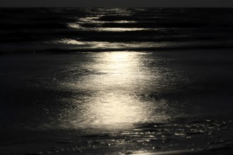 Full moon by the sea, Baltic Sea, September, Mecklenburg-Western Pomerania, Germany, Europe