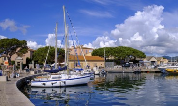 Harbour of Saint Tropez, Var, French Riviera, Provence-Alpes-Cote d'Azur, Cote d Azur, France,