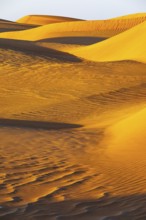 Wind-sculpted curved sand dunes in the Rub al Khali desert, Dhofar province, Arabian Peninsula,