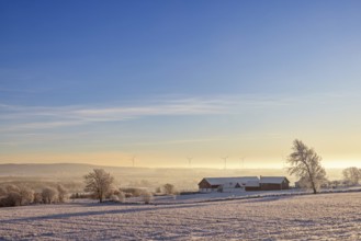 Farm in a snowy field in a beautiful rural landscape with winter light on a cold winter day,