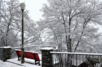 Beautiful Bench and Street Lamp with Bare Trees with Snow in Winter in Locarno, Ticino,