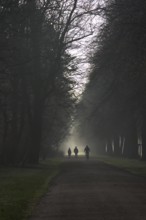 Morning fog in winter, Germany, Europe