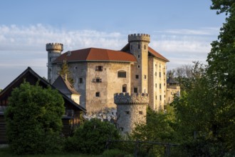 Plankenstein Castle, Texingtal, Mostviertel, Lower Austria, Austria, Europe