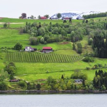 Mountains and Fjord over Norwegian Village, Olden, Innvikfjorden, Norway, Europe