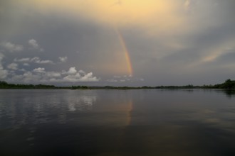 Rainbow over the Iguéla Lagoon, Loango National Park, Parc National de Loango, Ogooué-Maritime