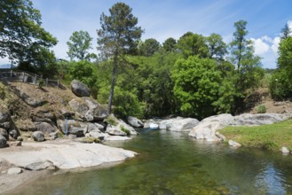 Ein ruhiger Fluss, der zwischen Felsen und einem grünen Wald fließt, schafft eine friedliche und